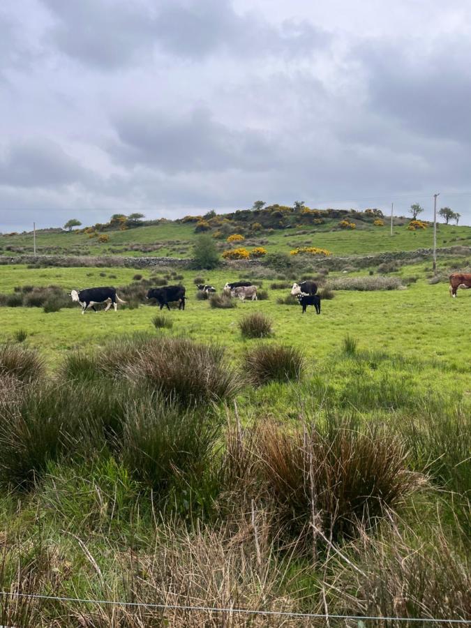 Lacken Farmyard Kilmihil Exterior photo