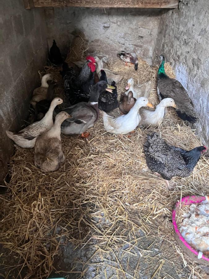 Lacken Farmyard Kilmihil Exterior photo